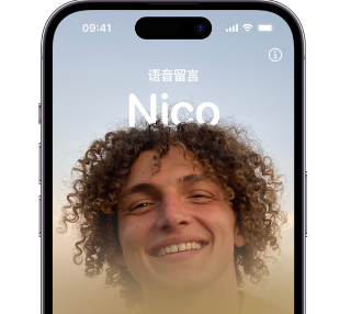 泊头苹果15服务站分享iPhone15实时语音留言开启方法 