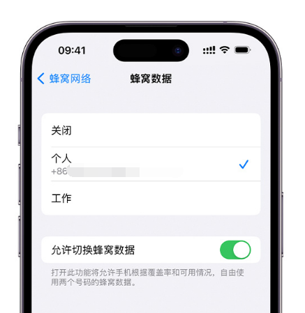 泊头苹果维修服务分享如何在iPhone上使用双卡 